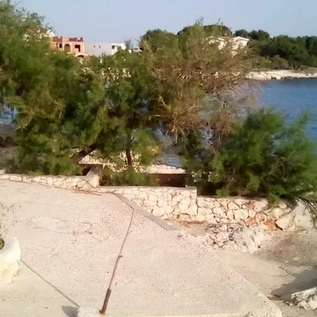 Apartments Zoran